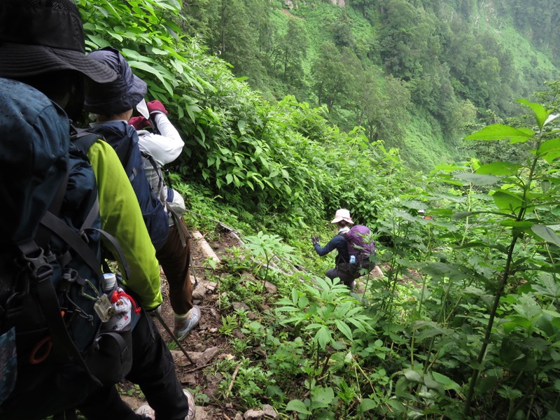 大日岳登山