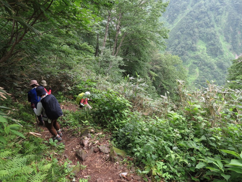 大日岳登山