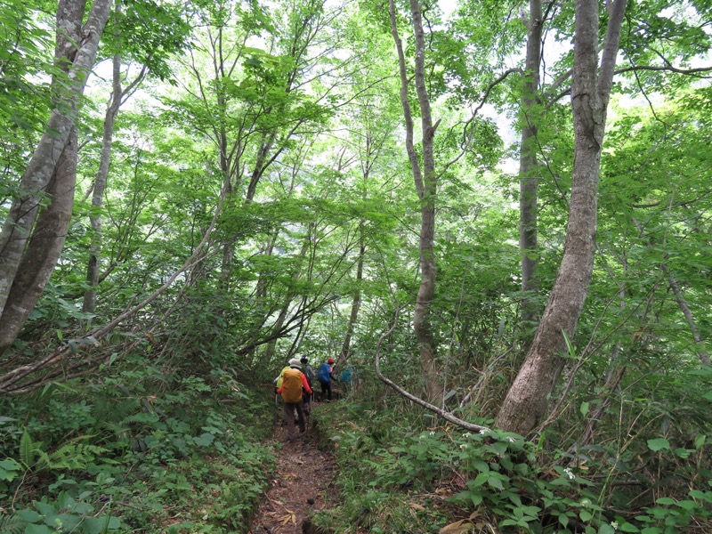 大日岳登山