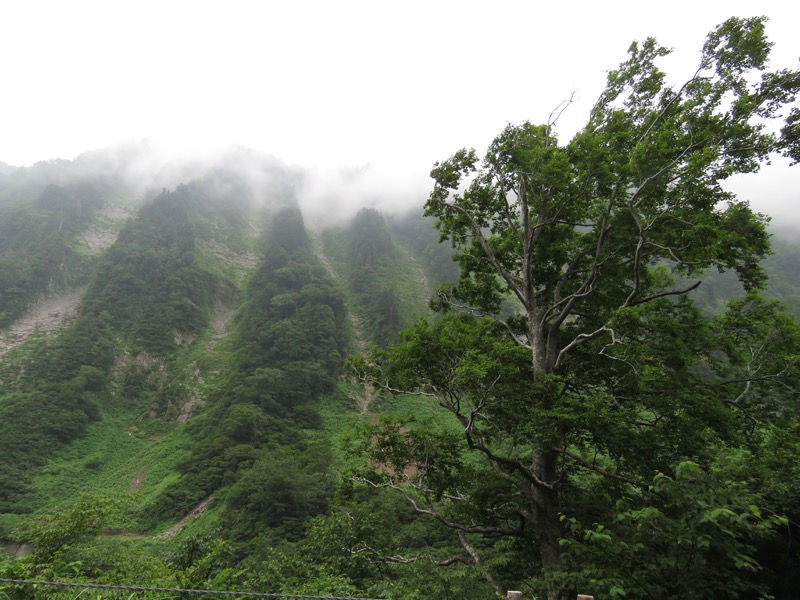 大日岳登山