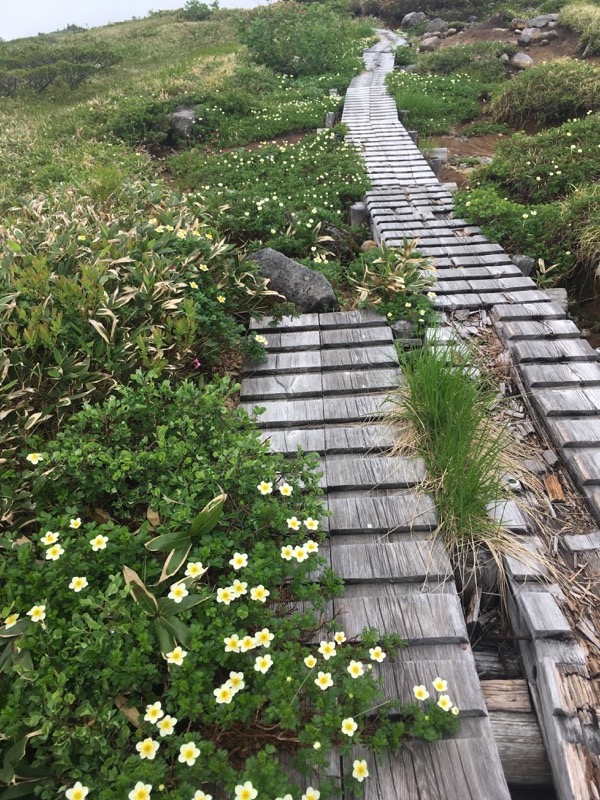 大日岳登山