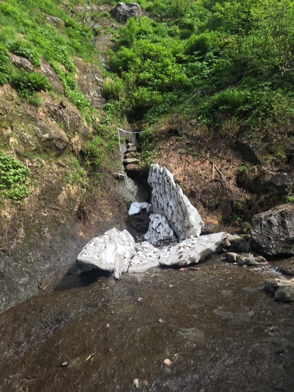 大日岳登山