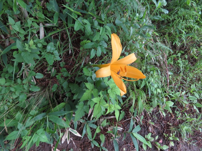 編笠山登山
