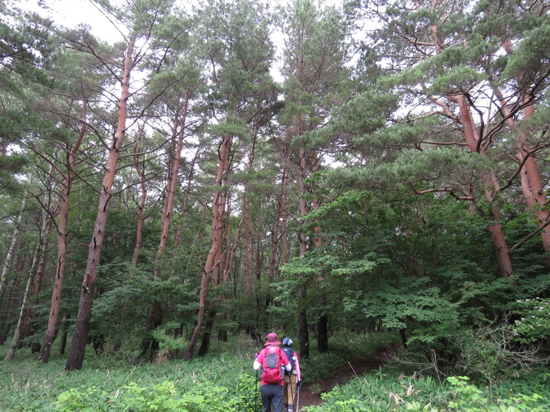編笠山登山
