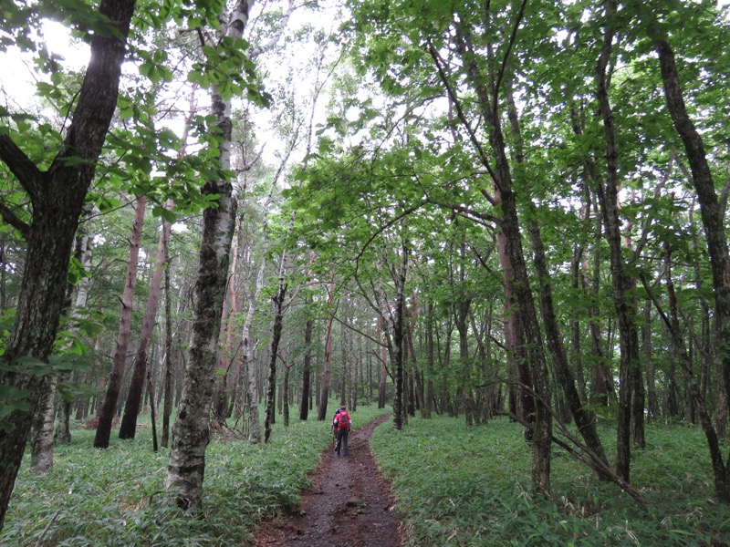 編笠山登山