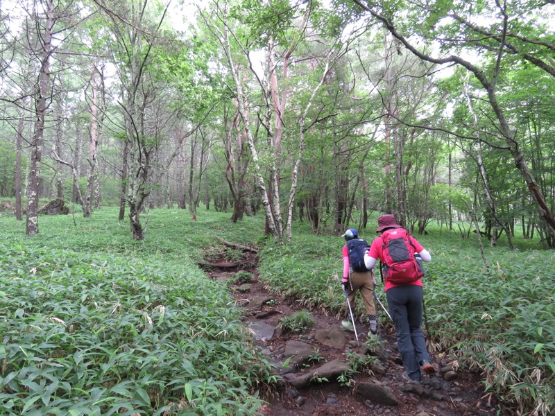 編笠山登山