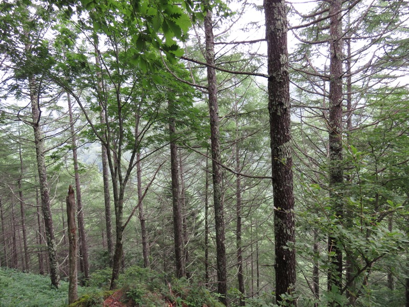 編笠山登山