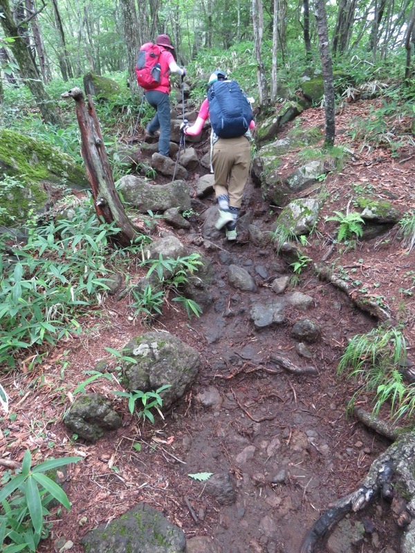 編笠山登山