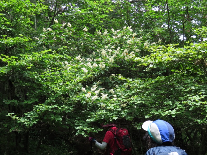 編笠山登山