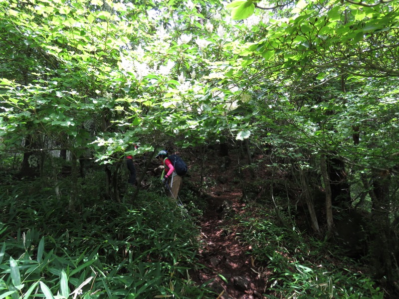 編笠山登山