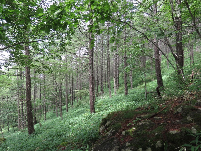 編笠山登山