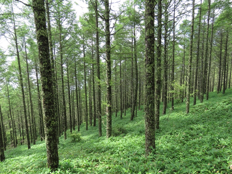 編笠山登山
