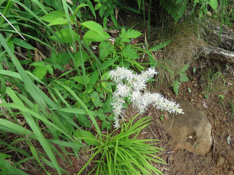 編笠山登山