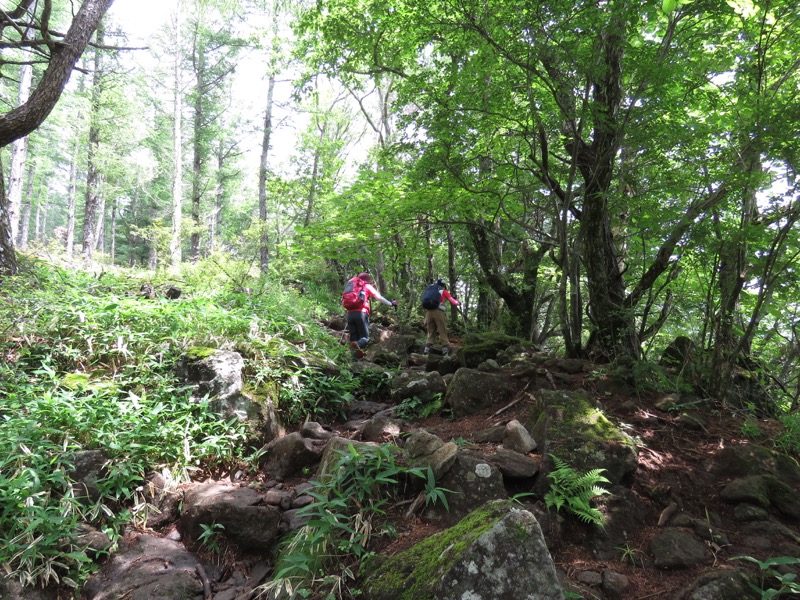編笠山登山