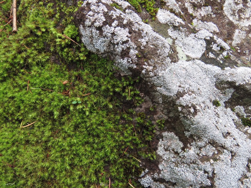 編笠山登山