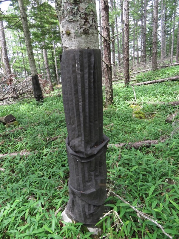 編笠山登山