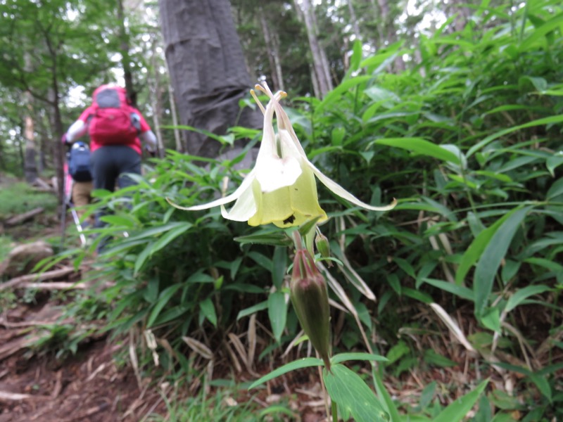 編笠山登山