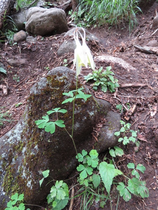 編笠山登山
