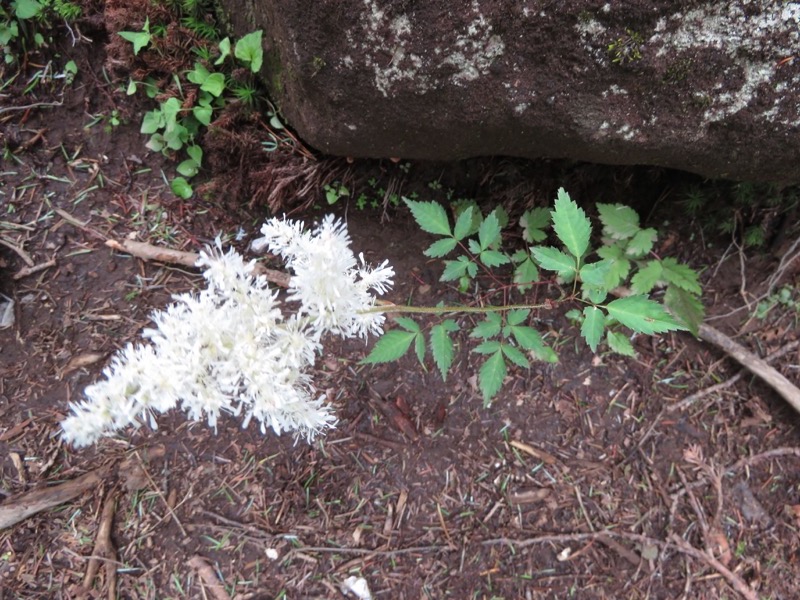 編笠山登山