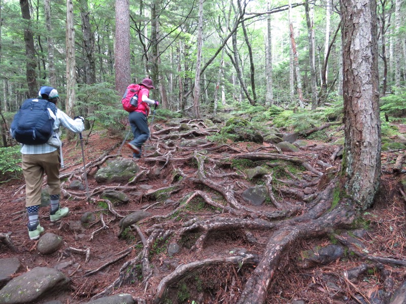 編笠山登山