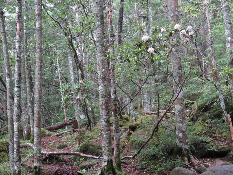 編笠山登山