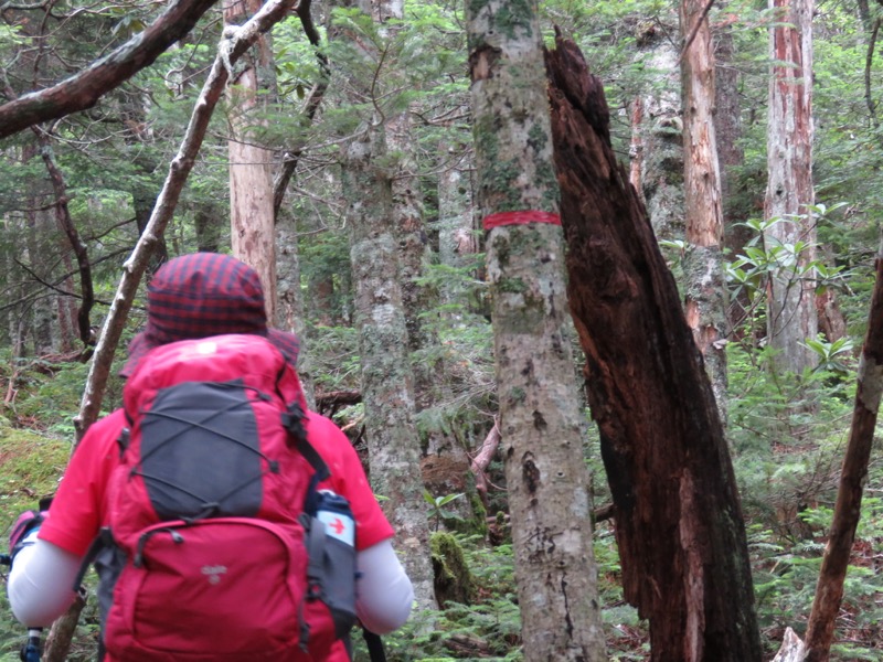 編笠山登山
