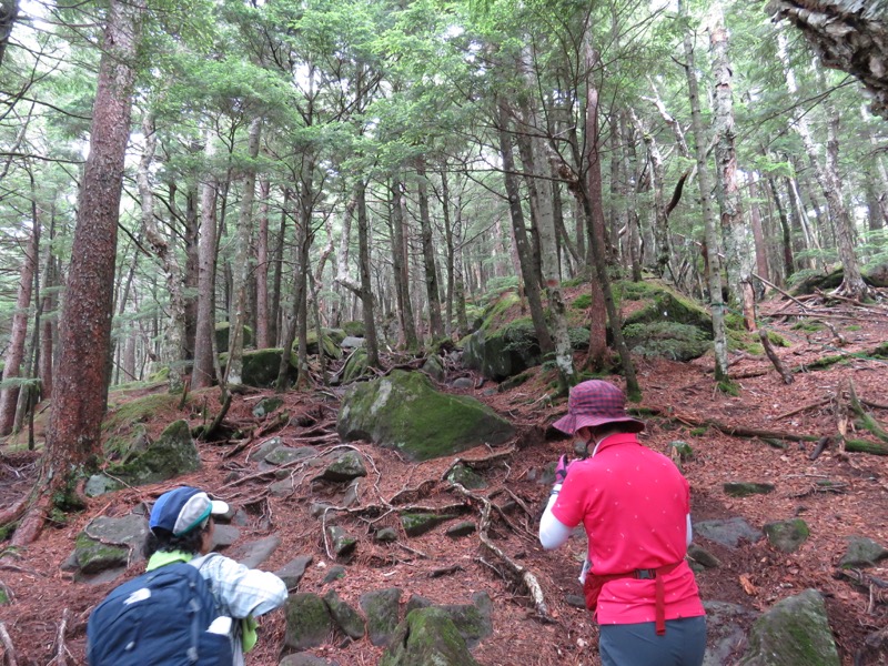 編笠山登山