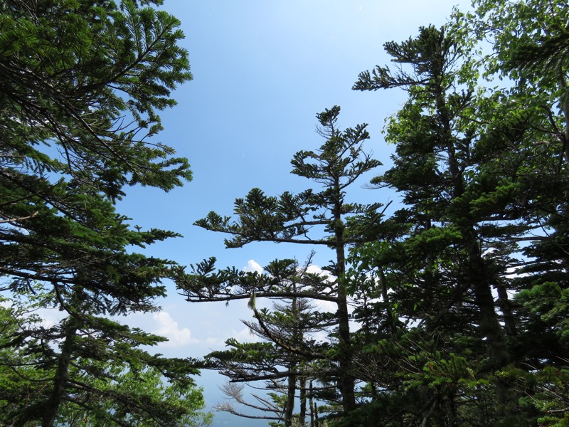 編笠山登山