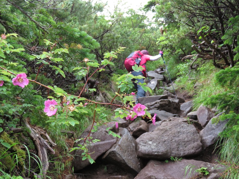 編笠山登山