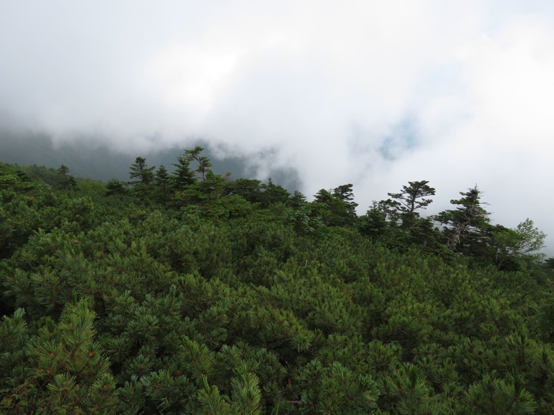 編笠山登山