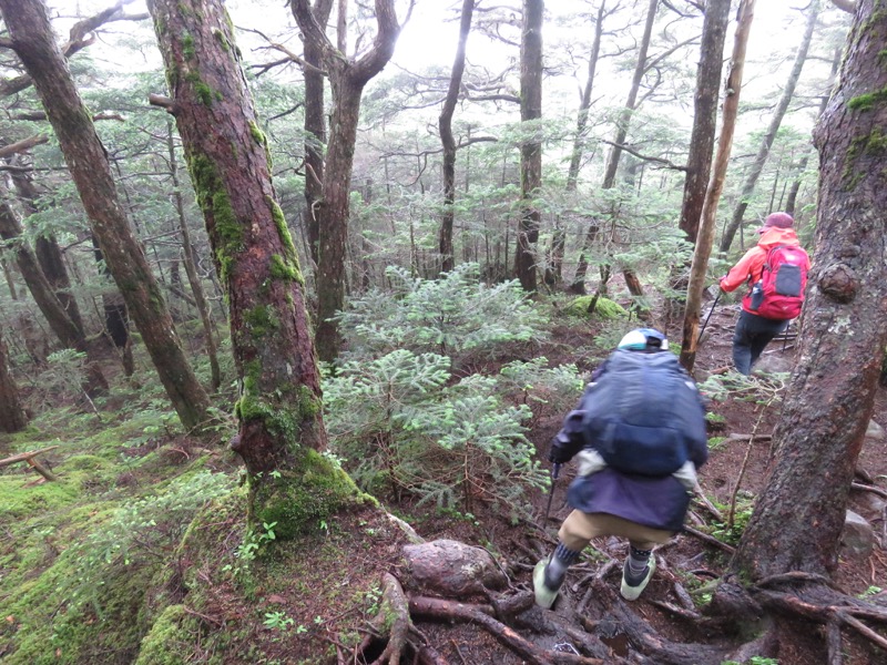 編笠山登山