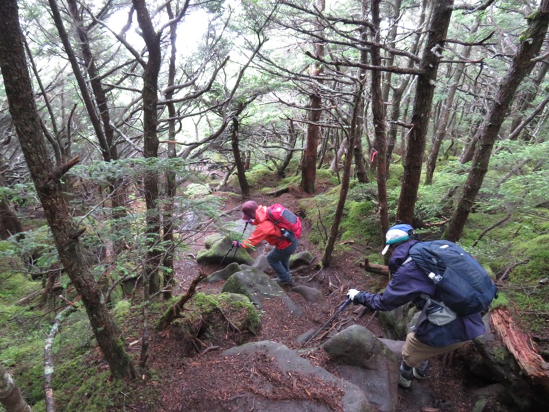 編笠山登山