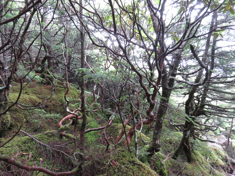 編笠山登山