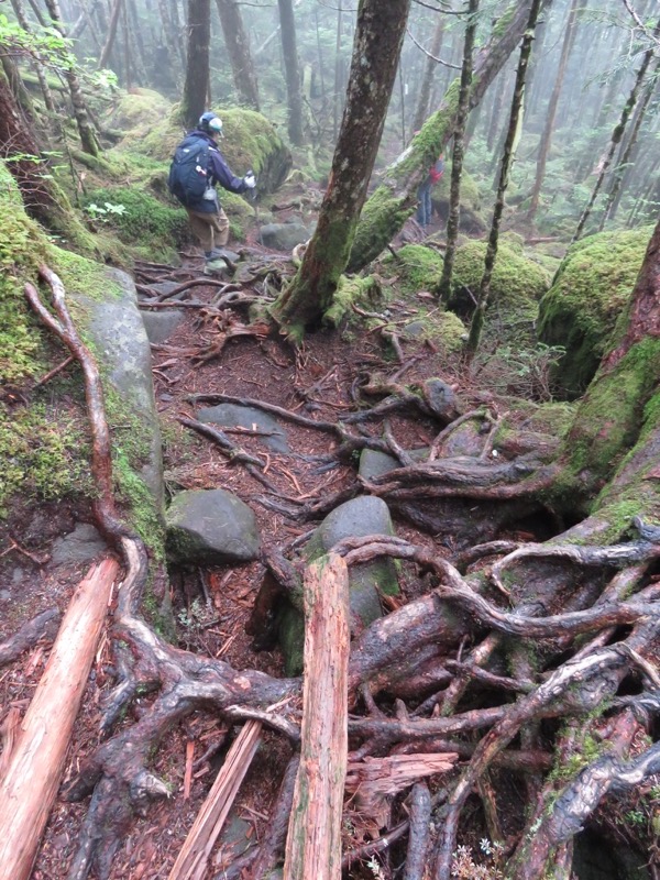 編笠山登山