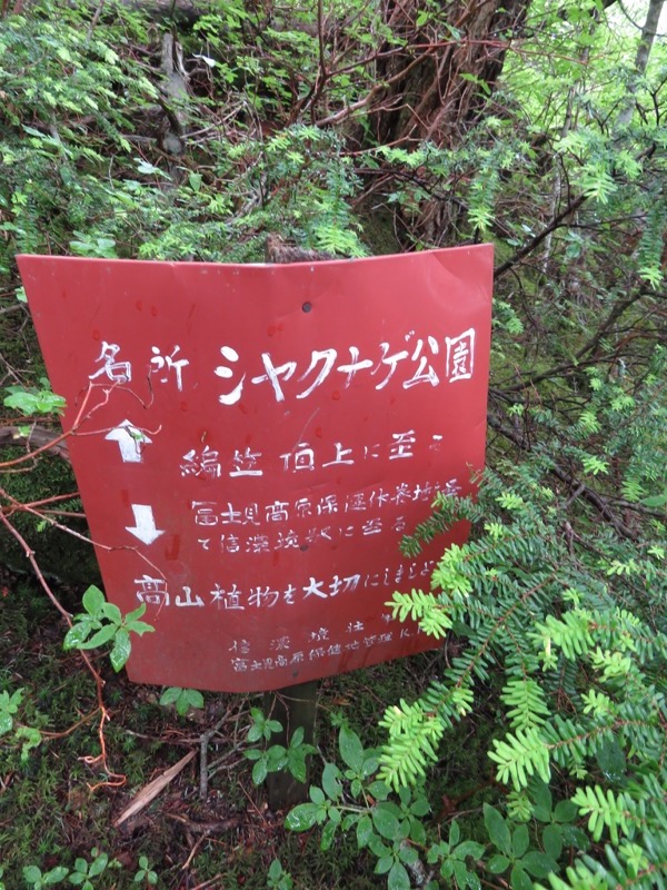 編笠山登山
