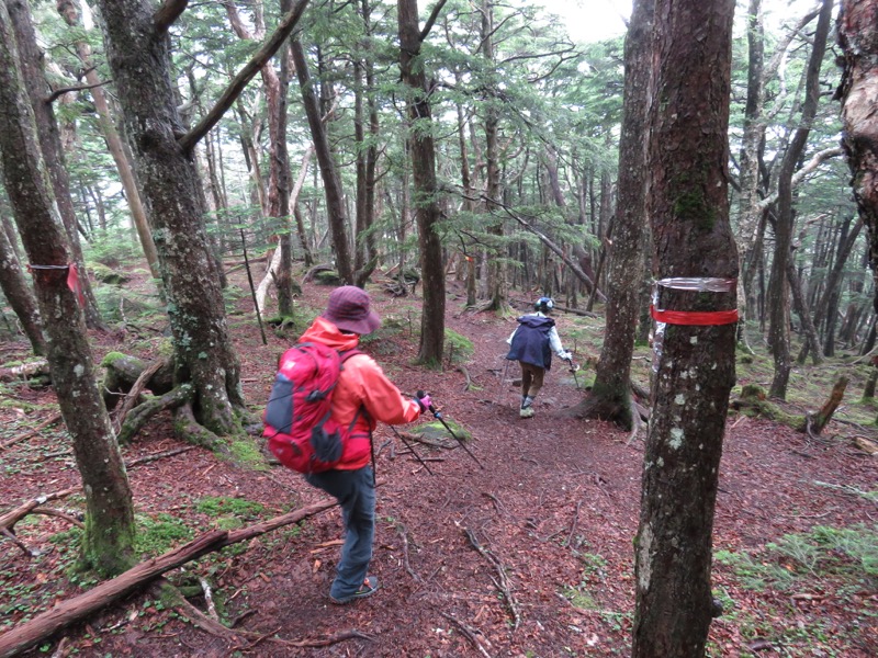 編笠山登山