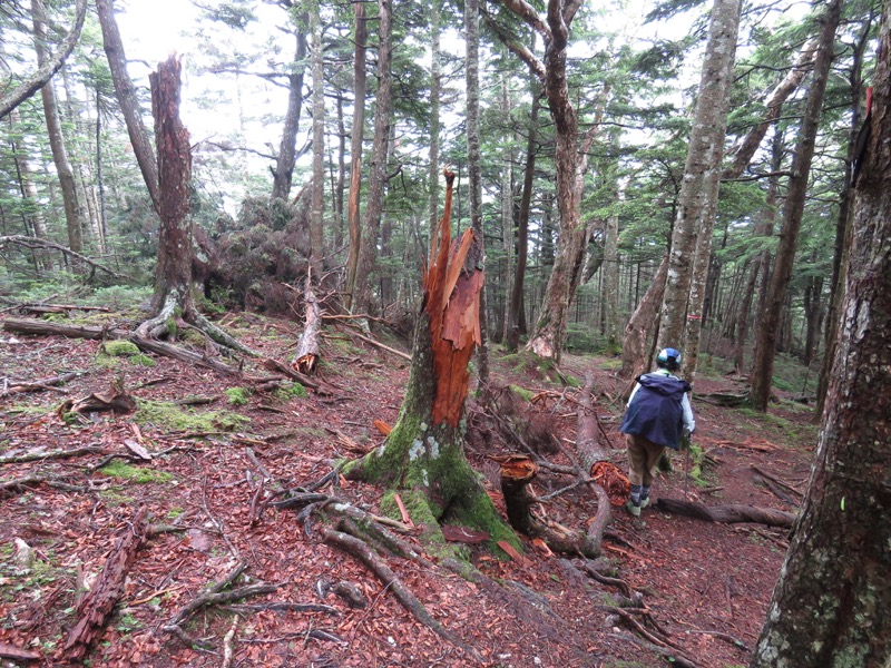 編笠山登山