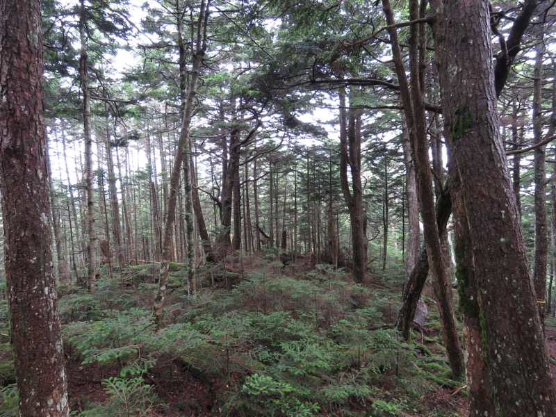 編笠山登山