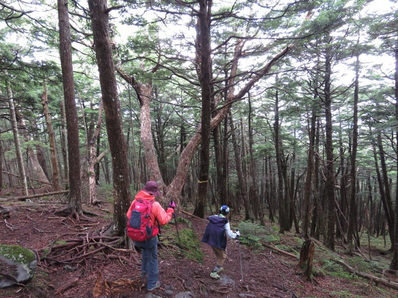 編笠山登山