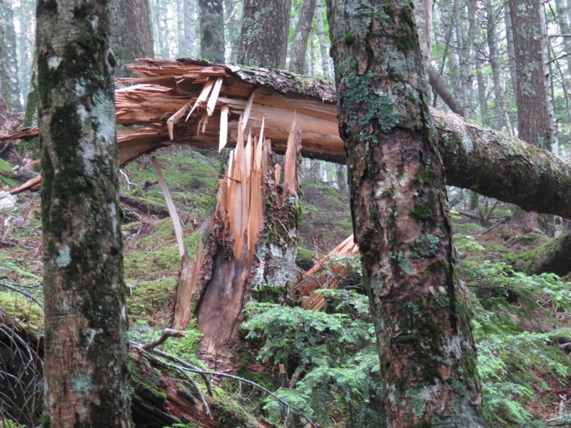 編笠山登山