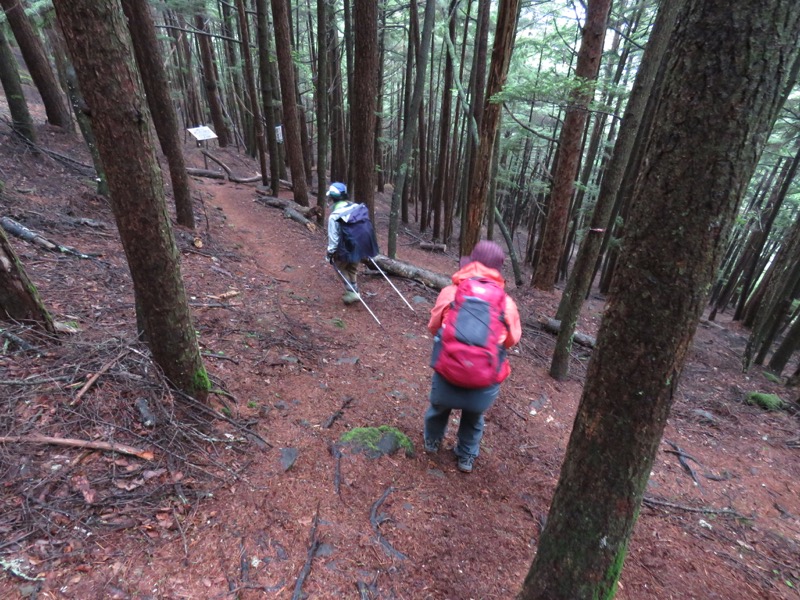 編笠山登山