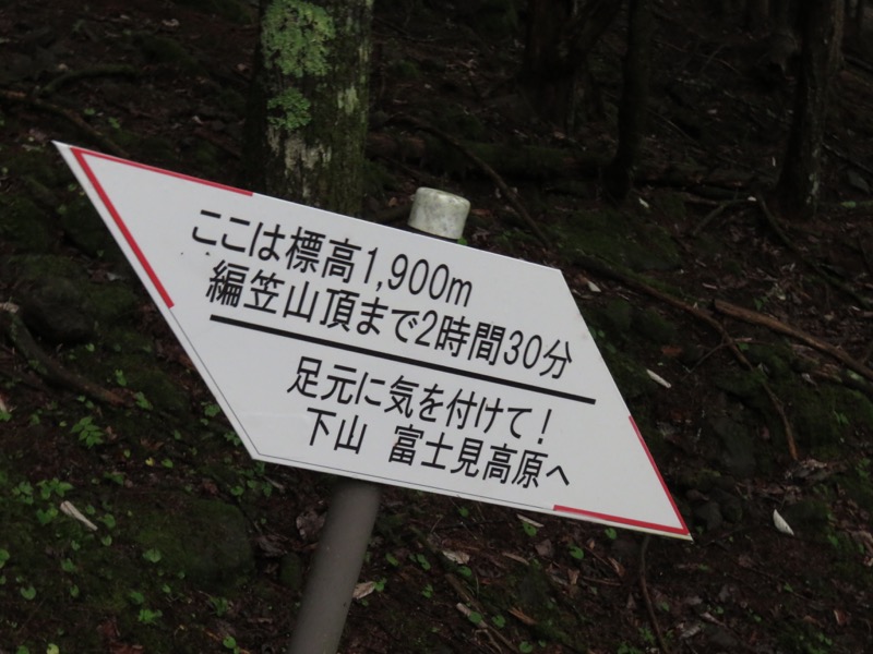編笠山登山
