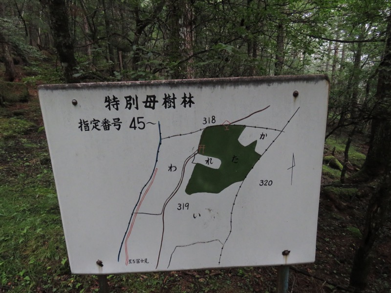 編笠山登山