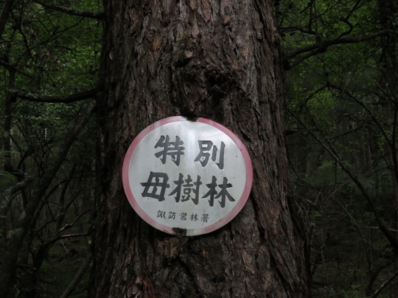 編笠山登山