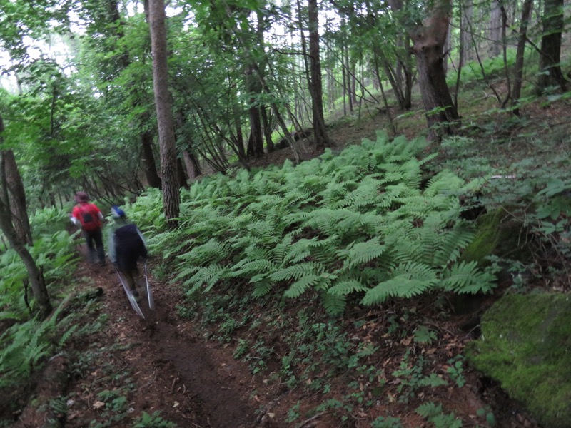 編笠山登山