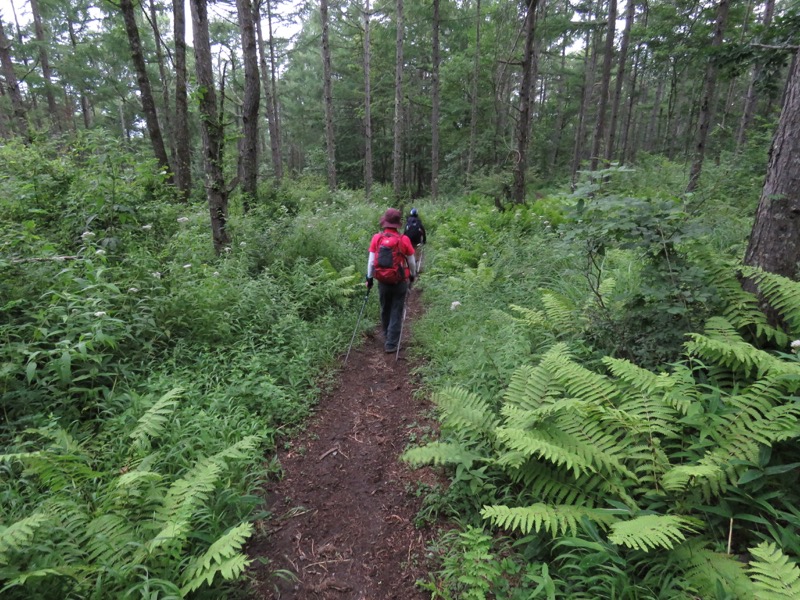 編笠山登山