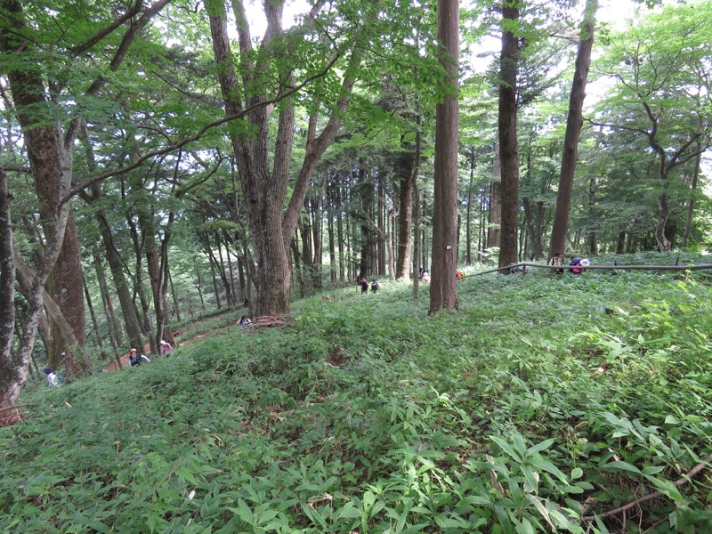 御岳山〜大岳山〜鋸山登山