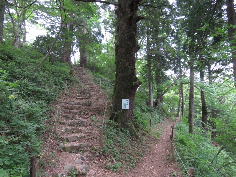 御岳山〜大岳山〜鋸山登山