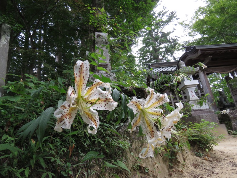 御岳山〜大岳山〜鋸山登山