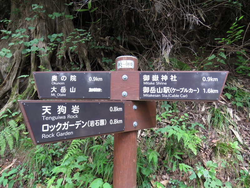 御岳山〜大岳山〜鋸山登山